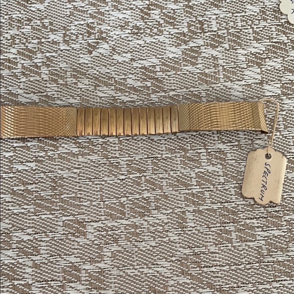 Men’s gold watch band